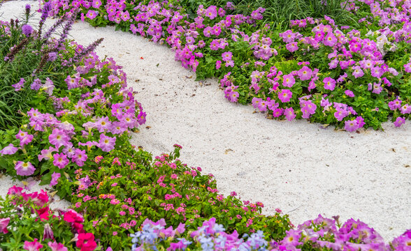 Walkway in flower garden in summer time. Colourful Flowerbeds in a good care maintenance landscapes and walkway