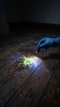 Fluorescent Forensic Stain on Aged Wooden Floor Revealed Under UV Light
