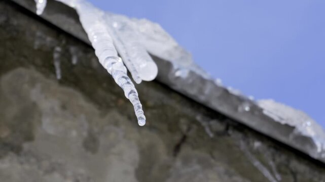 A sharp icicle hangs from a roof edge dripping water droplets against a clear blue sky. Concept of spring thaw, seasonal change, and warming temperatures melting winter ice.