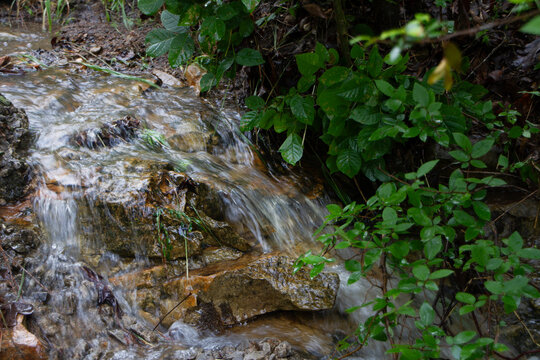 Wet weather creek, mountain stream with foliage