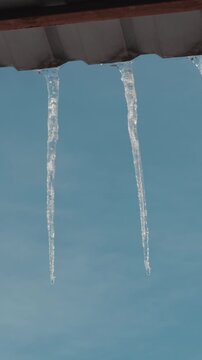 Transparent icicles hang from a metal roof edge, dripping water droplets as they melt against a blue sky. This vertical shot represents the concept of spring thaw and seasonal change.