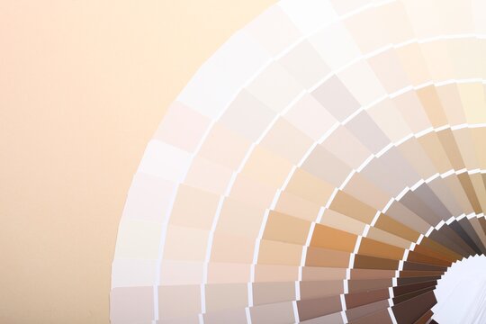 color palette guide