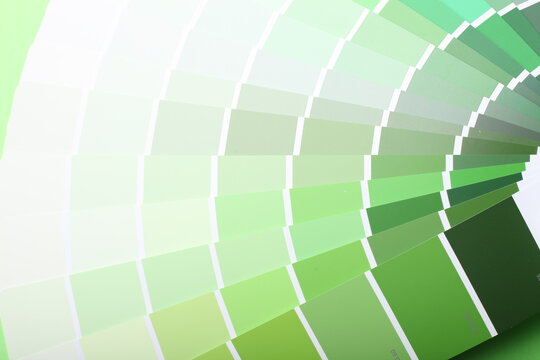 color palette guide