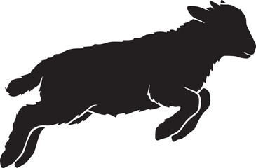 Playful Jumping Valais Blacknose Lamb Silhouettes © MdHasan