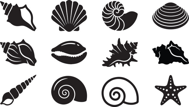 Sea Shell Icons Set - Ocean Seashell, Conch, Scallop, Nautilus, Starfish Vector Silhouette Collection .