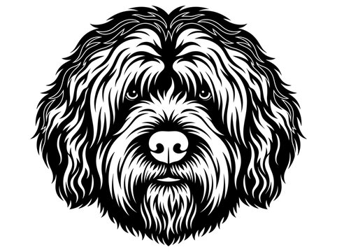 Stylized Labradoodle Head Vector - Black and White Shaggy Dog Face Illustration for Logo and Branding