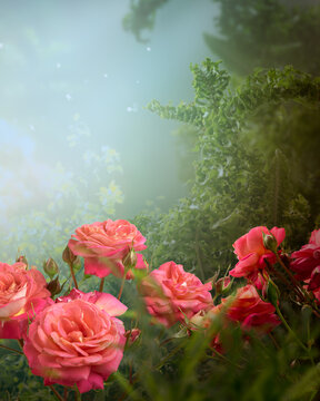 Fantasy pink roses flowers in magical blooming misty garden in fairy tale elf forest, fairytale floral foggy glade vertical background, tranquil landscape scene with copy space, dreamy atmosphere.