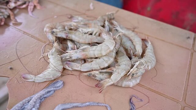 SEA FISH (FOOD)