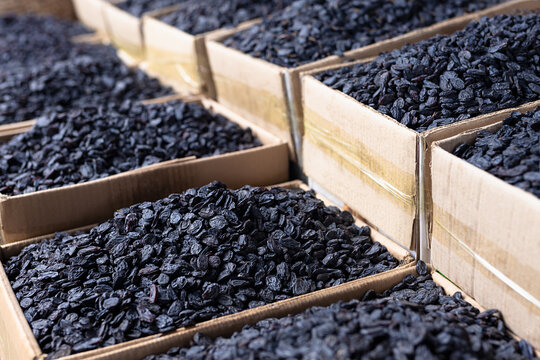 Black raisins piled in cardboard boxes at an oriental bazaar in Bukhara, Uzbekistan. Close-up of dried fruit abundance at a market stall, ideal for food industry and travel content.