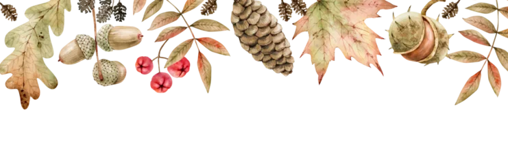 Decorative autumn border with leaves, acorns, pine cones, and berries. Botanical border design for a Thanksgiving greeting card. Hand-drawn watercolor illustration © Lana