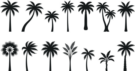 Fototapeta premium Tropical Palm Tree Silhouette Vector Collection