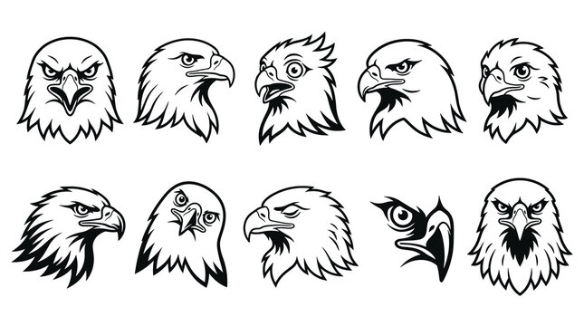 Set of ten eagle head illustrations in outline style, various expressions and angles, conveying power and vigilance, suitable for emblems and icons