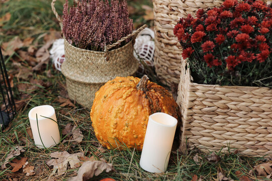 Rustic autumn scene with a bumpy orange pumpkin, red chrysanthemums, lit candles and woven baskets arranged on grass and fallen leaves, evoking cozy fall decor and seasonal harvest vibes.