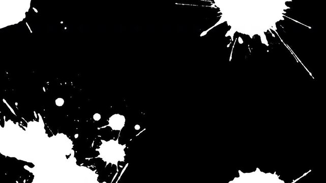 4K Grunge White Ink Splatter Texture.Dynamic liquid splash, brush strokes, and dark motion abstract background.
