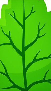 Single green leaf illustration on white background.