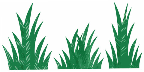 Green grass silhouettes against a white background vector illustration © Piku
