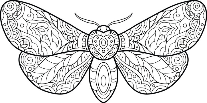 Zentangle moth with intricate heart and floral patterns