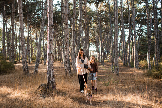 Young woman walking with child girl and pet dog in woods outdoors. Summer season.