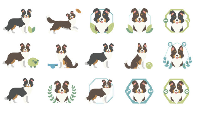 Large collection of border collie dogs in various poses and artistic frames suitable for veterinary or pet-themed graphic design.