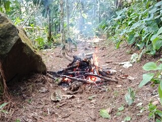 Fototapeta premium Bonfire Burning in a Mountain Forest During Daytime Surrounded by Lush Nature