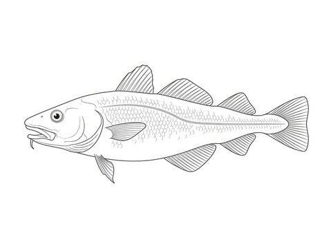 A detailed line drawing depicts a whole, dark green cod fish. The fish has a streamlined body, a prominent head with a large eye, and distinctive dark spots along its flanks.