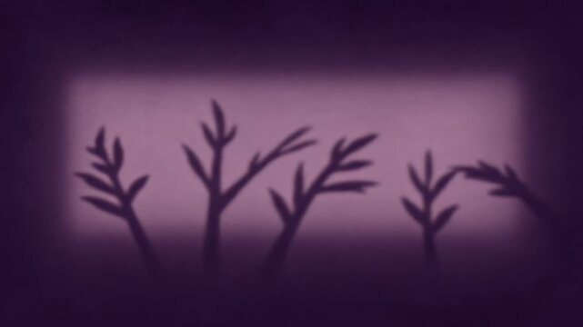 Botanical shadow overlay wall art minimal plant branch silhouette on soft purple background abstract nature design for dreamy interior decor tranquil illustration and creative poster template