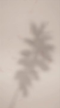 Botanical shadow overlay wall art minimal neutral background softly faded leaf silhouette and soft plant shadow overlay beige wall background nature aesthetic calm organic light abstract texture
