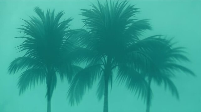 Botanical palm tree wall shadow overlay tropical foliage silhouette background teal mist dreamy minimal calm abstract nature art summer design green leaf decor poster cover print
