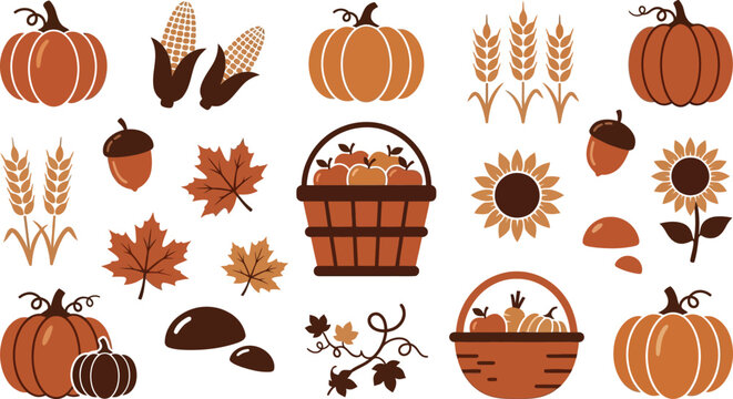 Autumn harvest collection pumpkins corn wheat apples sunflowers and acorns fall season elements