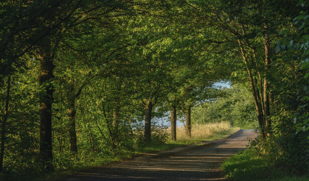 Leuchtende Morgensonne am Wanderweg an Feldern vorbei mit Schatten