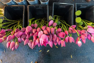 Fresh pink lotus flowers arranged for sale at a traditional market © imphilip