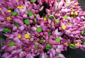 Fresh pink lotus flowers arranged for sale at a traditional market © imphilip