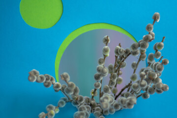 Artistic spring background with willow branches and paper cut circles. Blue background highlights natural structure of branches and delicate buds through openings © lesichkadesign