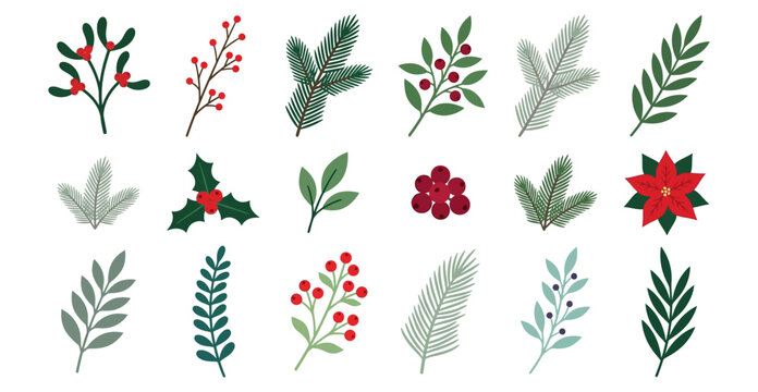 Collection of festive botanical elements including holly with berries pine branches poinsettia mistletoe and various decorative leaves and sprigs christmas holiday plant nature