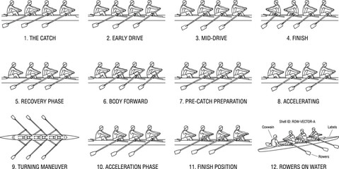 Rowing stroke technique sequence and crew boat training diagram with rowing phases and instructional vector illustrations © Miss