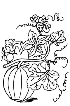 Handgemalte Zeichnungen / Illustrationen von Pflanzen, Obst und Gem&uuml;se,