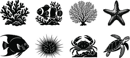 Marine Life Collection Featuring Coral Fish Starfish Sea Urchin Crab Turtle Ocean Wildlife Underwater Ecosystem Illustration © SHAMIM