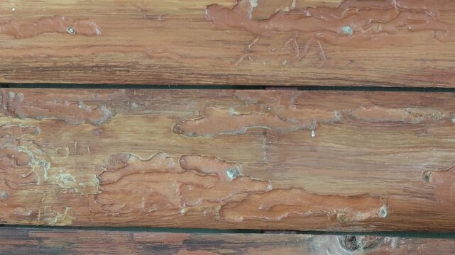 Wooden surface, teak wood 