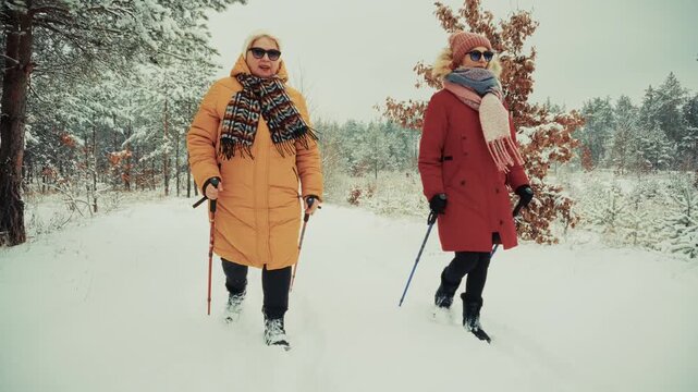 Hikers Nordic Walking In Winter Forest. People Exercising On Snowy Trail. Wellness Longevity