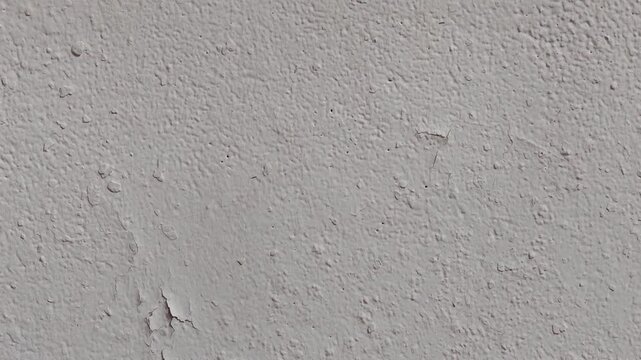 Painted walls, peeling paint, mold.Painted walls, peeling paint, mold.