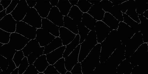 Net texture pattern on white background. Net texture pattern for backdrop and wallpaper. Realistic net pattern with black squares. Geometric background, vector Eps10 © Moh
