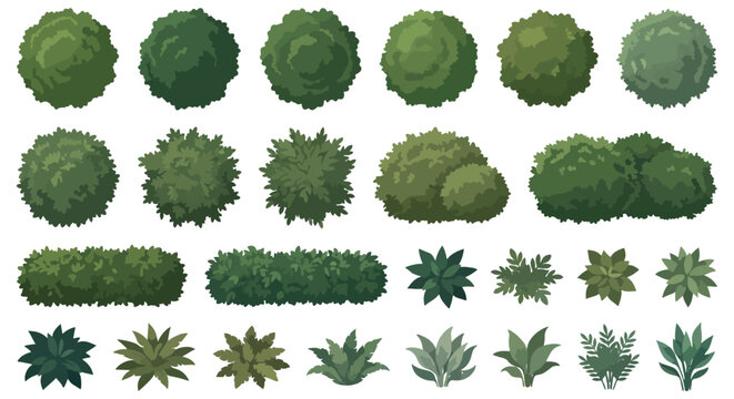 Green garden bushes and shrubs vector set, top view landscape design elements, 25 flat vegetation icons for architectural site plans and maps