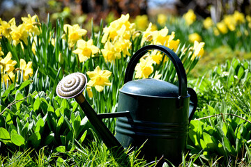 The garden in spring, Sainte-Apolline, Québec, Canada © Claude Laprise