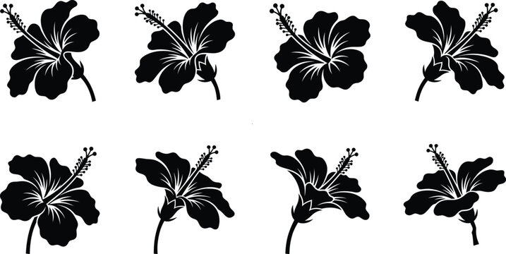 Hibiscus Flower Side View Silhouette Collection