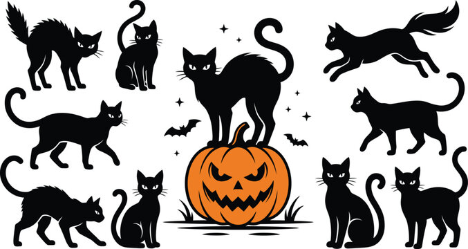 Set of black cat silhouettes in various spooky poses with a carved jack o lantern pumpkin for halloween design elements silhouette halloween jackolantern celebration mysterious