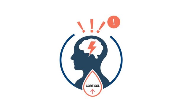 Rising Cortisol Stress Response In Human Brain Concept Animation. Human Head with Brain Lightning Symbol And Warning Signs Representing Anxiety, Mental Pressure, Tension And Hormonal Imbalance.