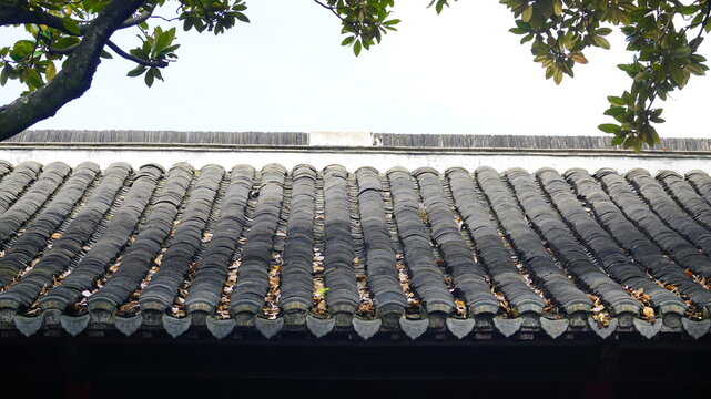 Tiled roof of a traditional Chinese house
