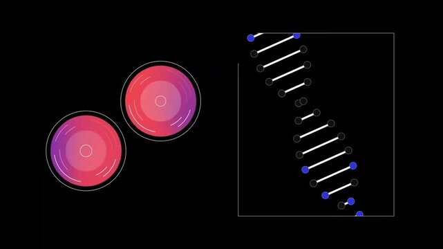DNA Double Helix Structure Rotating with Microscopic Biology Cells 2D Animation &ndash; Genetic Sequencing, Biotechnology, Medical Research Concept