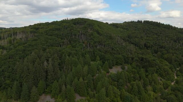 Forest at Moselle valley in summer, coniferous and deciduous trees, rural countryside landscape in Eifel Germany, travel destination, aerial view