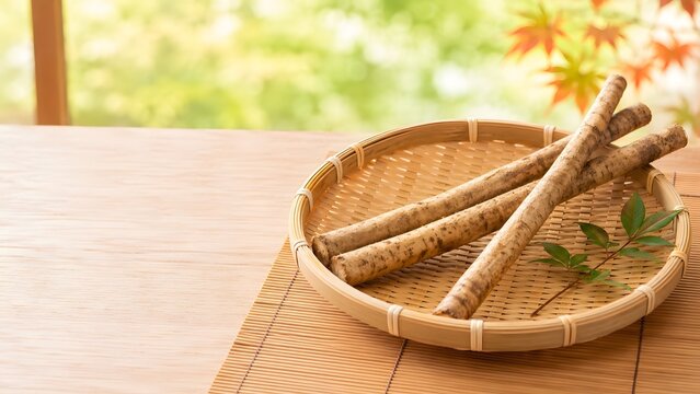 土のついた新鮮なごぼう 竹ざるに盛った初秋の和食素材写真